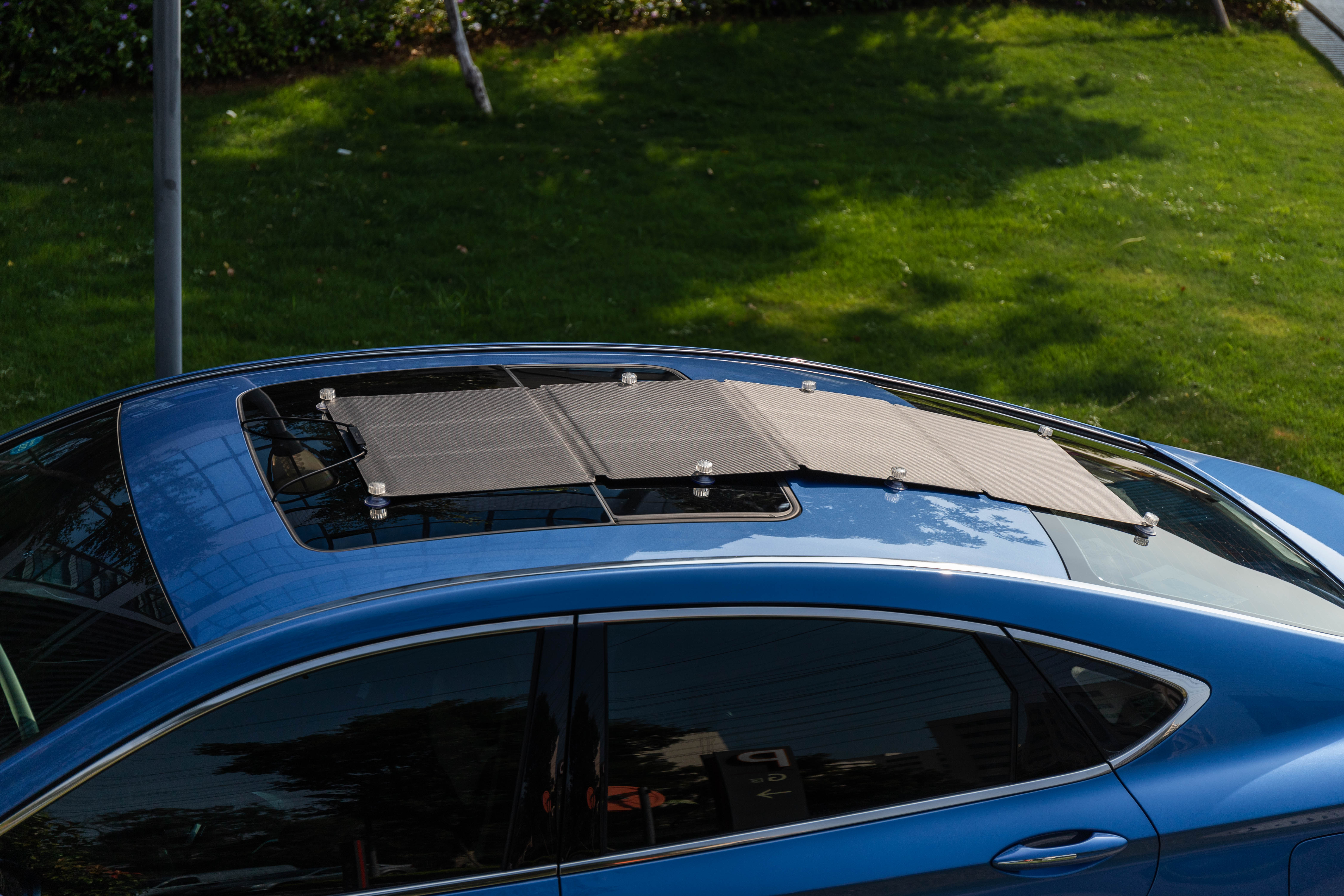 EcoFlow Solar Panel faltbar 110 W