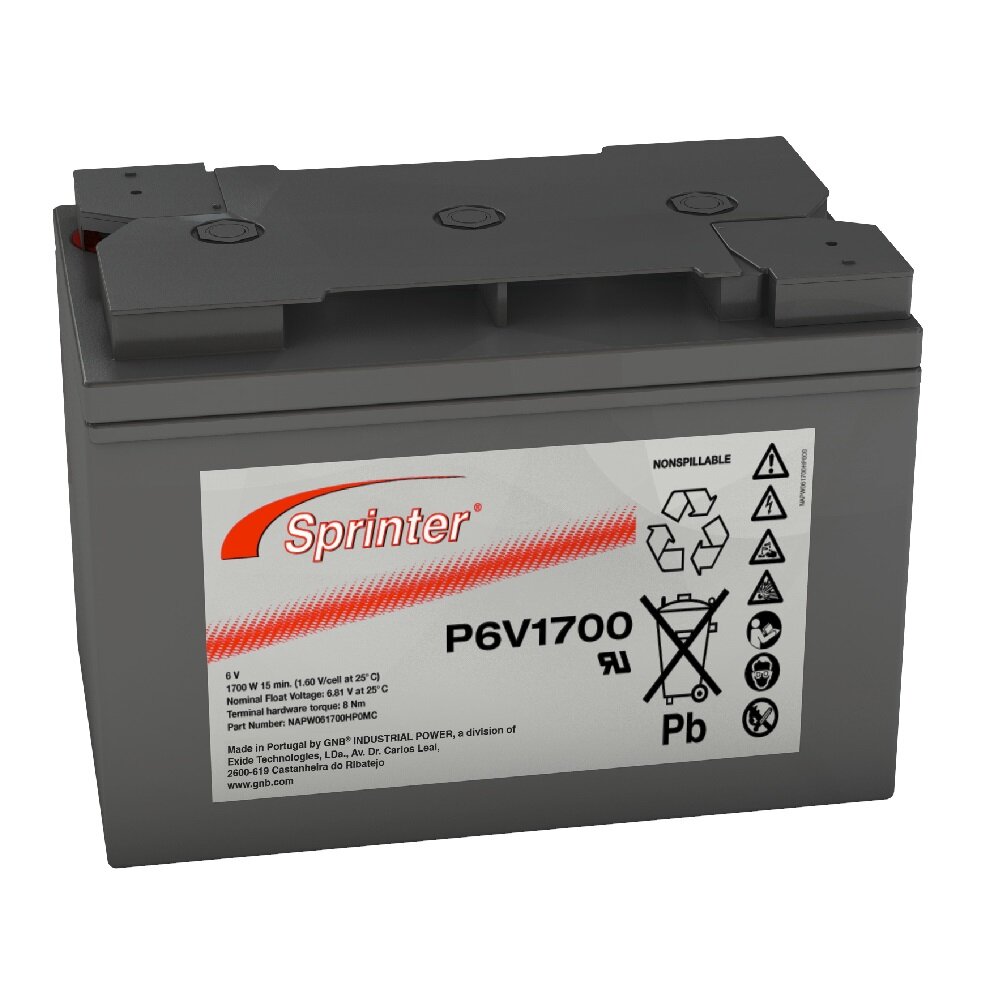 EXIDE Sprinter P6V1700, 6 V 122 Ah (C10), M-M8 Gewinde
