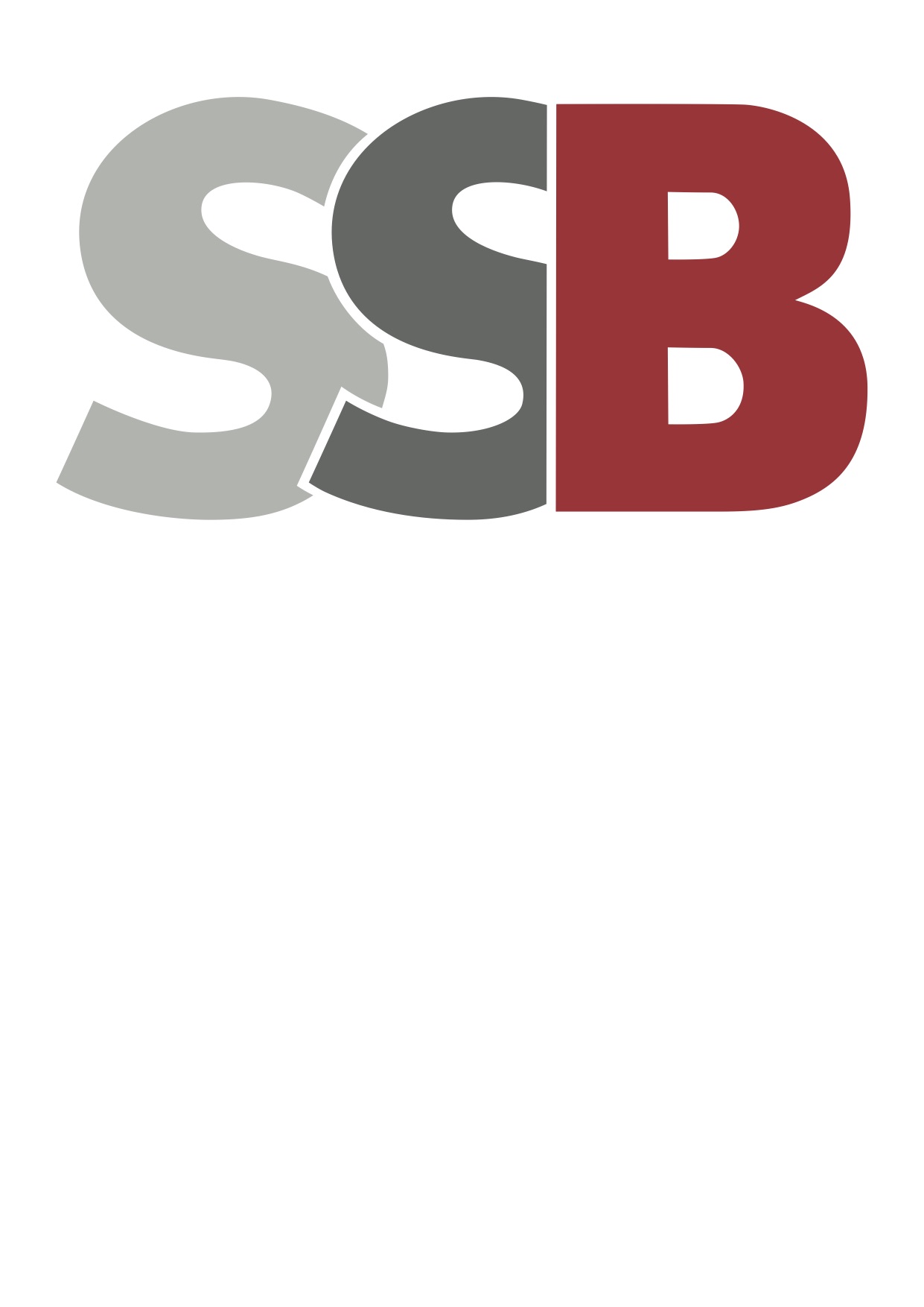 SSB SBL 60-12i (sh), Blei-Vlies-Akku, 12V / 60Ah